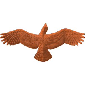 Eagle or Hawk Soaring