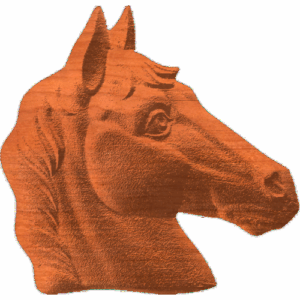 Horse Head - AB - 001