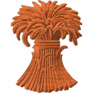 Wheat Shock