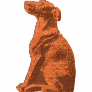 Attentive Hound