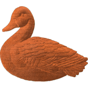 Mallard - AB - 001