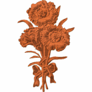Carnation - AB - 001