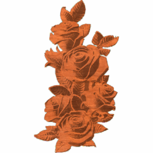 Rose Bouquet - AB - 001
