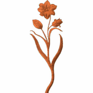 Lily - AB - 001