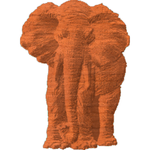 Elephant - Front View - AB - 001