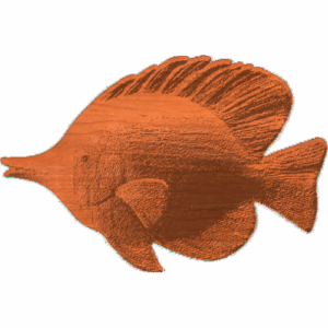 Tropical Fish - AB - 001