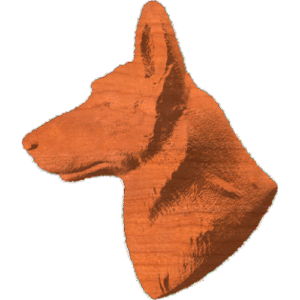 Alsatain Or German Shepard Head - AB - 001