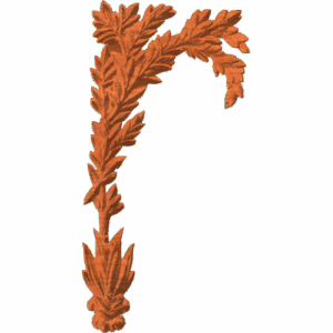Palm - AB - 002
