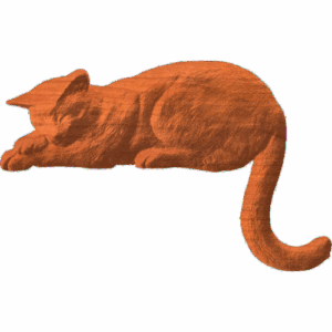 Cat - AB - 008