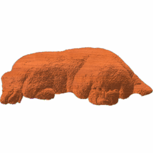 Bichon Frise - AB - 002