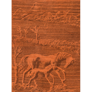 Horse And Colt Scene - AB - 001