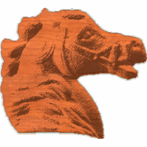Horse Head - AB - 002