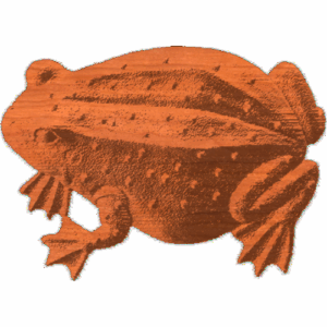 Toad - AB - 001