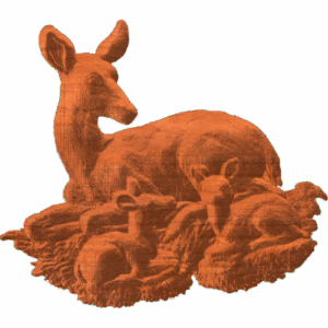 Doe And Fawns - AB - 001