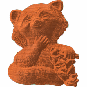 Raccoon - AB - 002