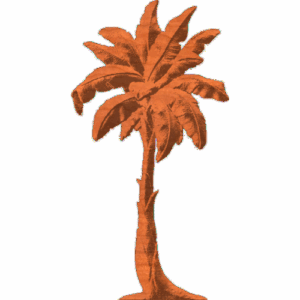 Palm Tree - AB - 001