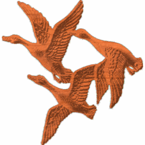 Geese Flying-AB-001