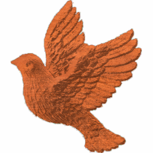 Dove-AB-003
