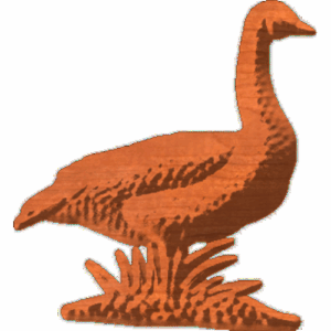 Goose Standing 1