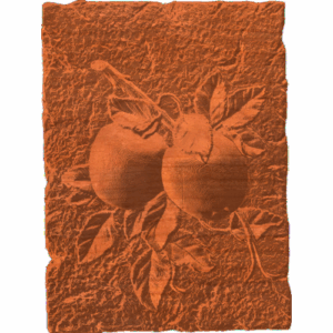 Apple Plaque RNB