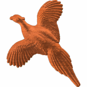 Pheasant 02 RNB