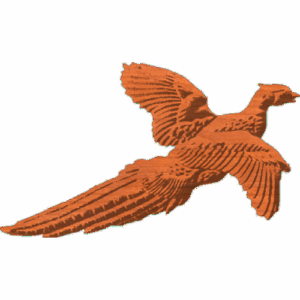 Pheasant 01 RNB