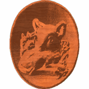 Fawn Deer RNB A