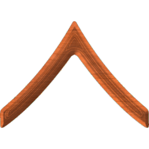 Army Rank E2 Private 2nd Class