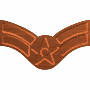 Air Force Rank E - 3 Airman 1st Class