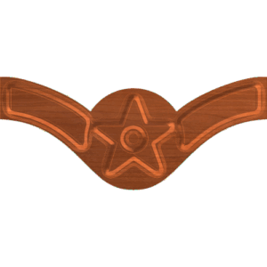 Air Force Rank E - 2 Airman