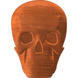 Skull Front