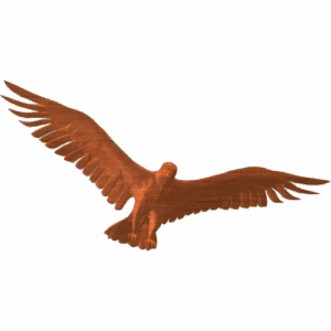 Falcon 001