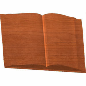 Open Book 001