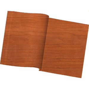 Open Book 002