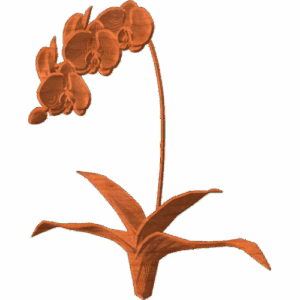 Flower 001