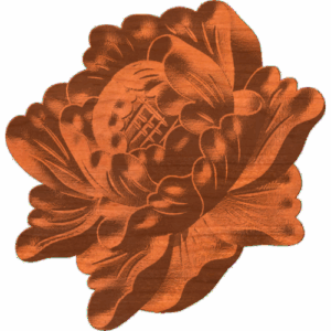 Posie