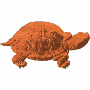 Turtle 413