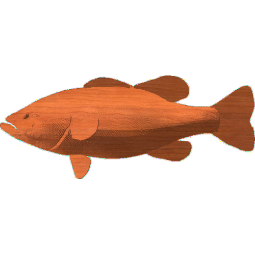 Black Bass