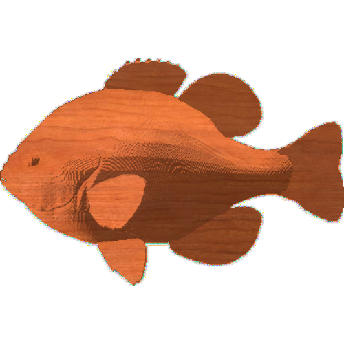 Blue Gill