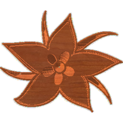 Flower 1