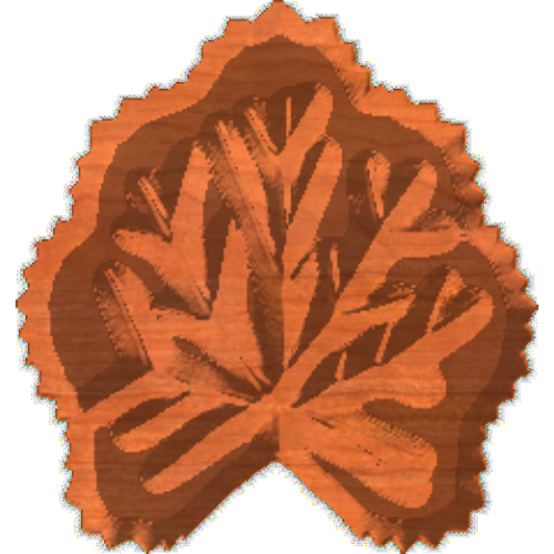 Leaf1