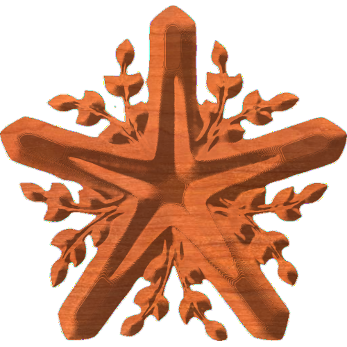 My Favorite Star