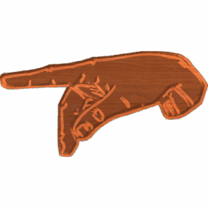 P - CSF