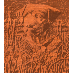 Dog in Swarm