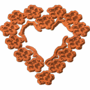 Flower Heart - CSF