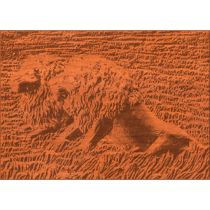 Two Lions