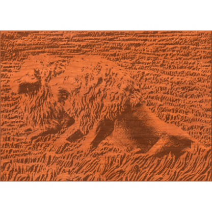 Two Lions