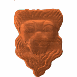 Lion Face - CSF