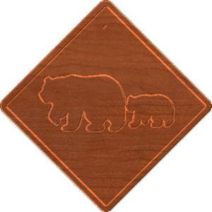 Bear Xing 001 - CSF