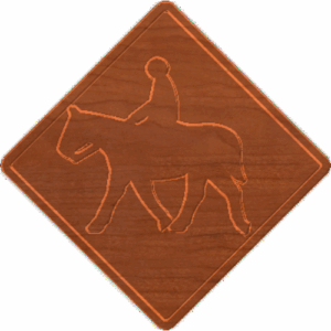 Horse Xing 001 - CSF
